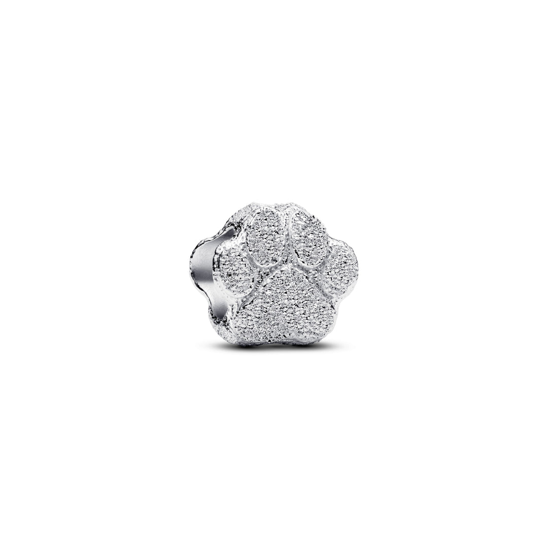 Pandora Pet Lover Charm Set hondenpootje 794043C00