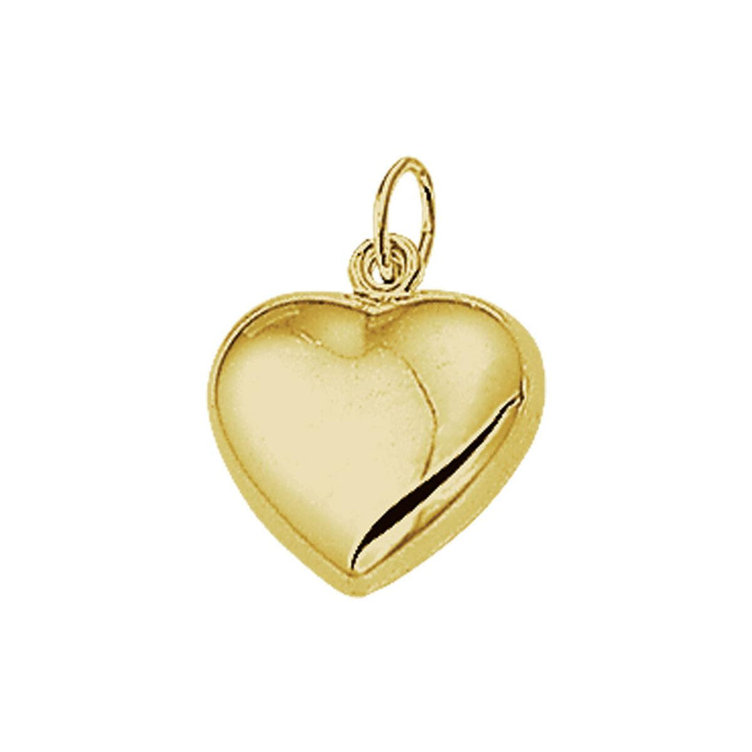 14 kt geelgouden harrt hanger 13 x 5,5 mm