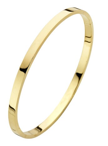 Fjory Massief Gouden Bangle 61 mm x 4 mm 40-A386104