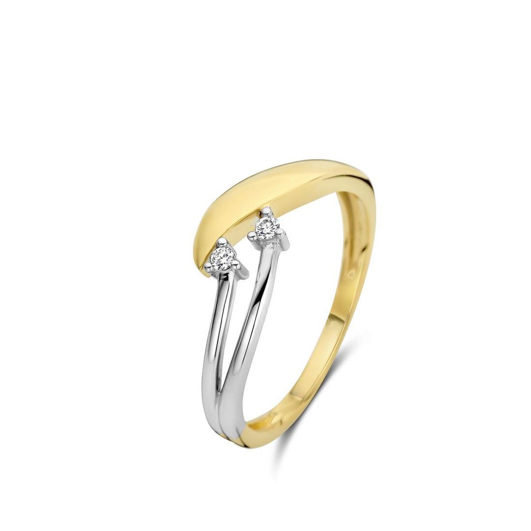 Ring met motief Au750 Geel & wit goud 18 kt
