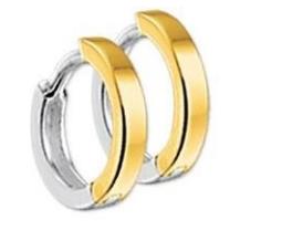 14 kt bicolor oorringen scharnier