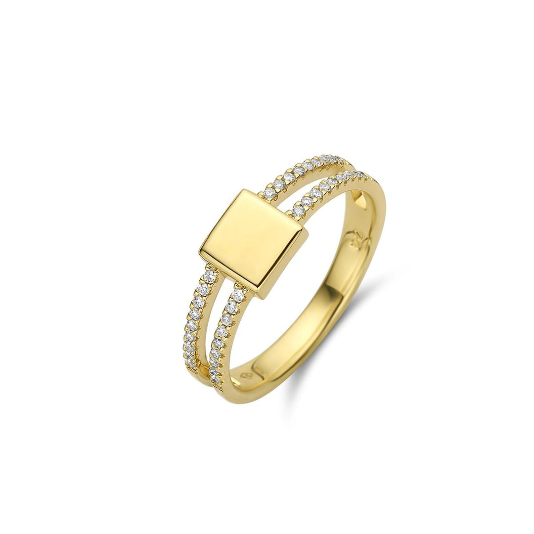 18k ring garveerbare plaat met diamanten entourage 061179/A
