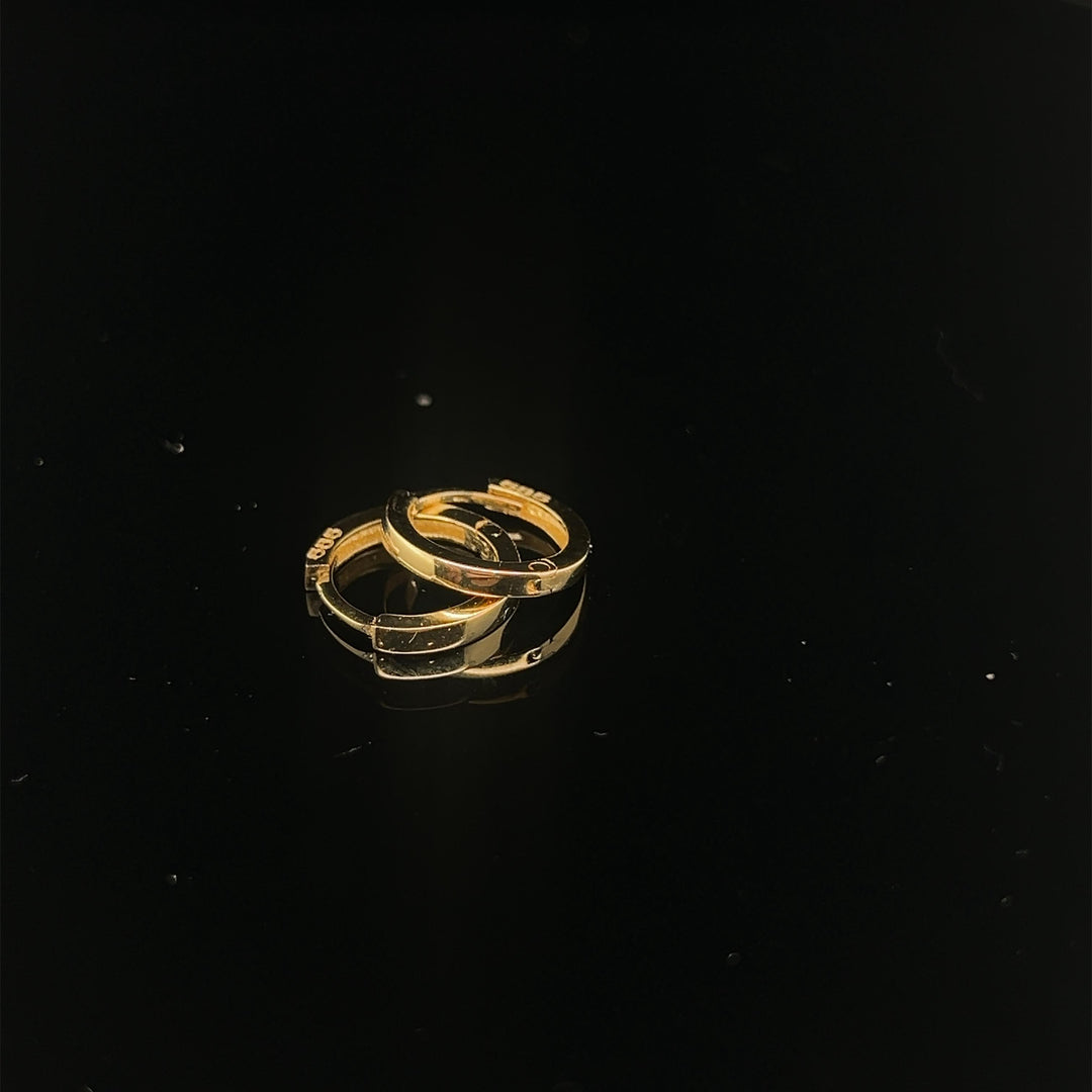 14 kt geelgouden oorringen diamant 2 x 0.03ct Tw/Vsi