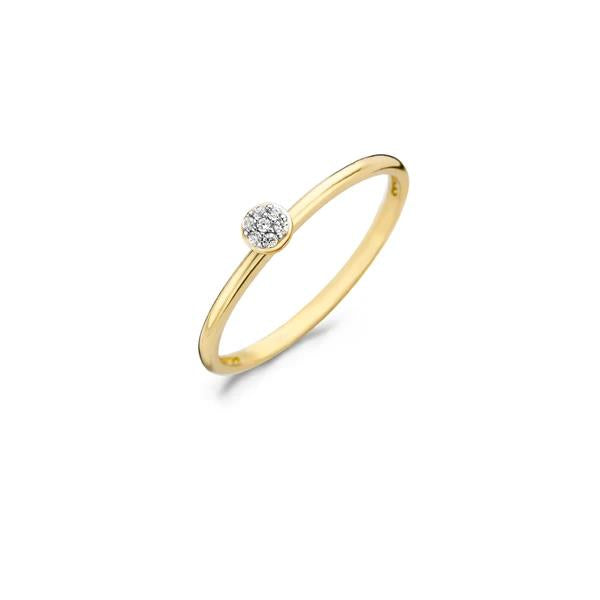 Blush Jewels 1199yzi
