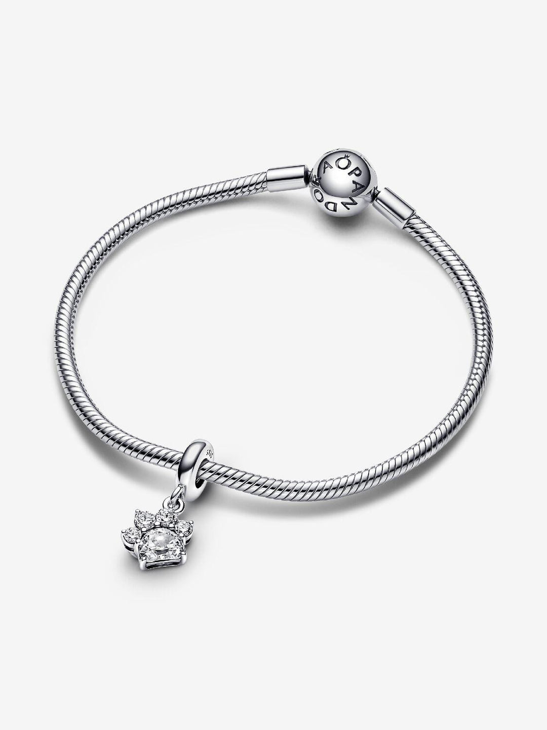 Paw sterling silver dangle 792247C01