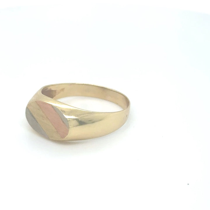 14 kt Tricolor Zegelring 14 x 10 mm