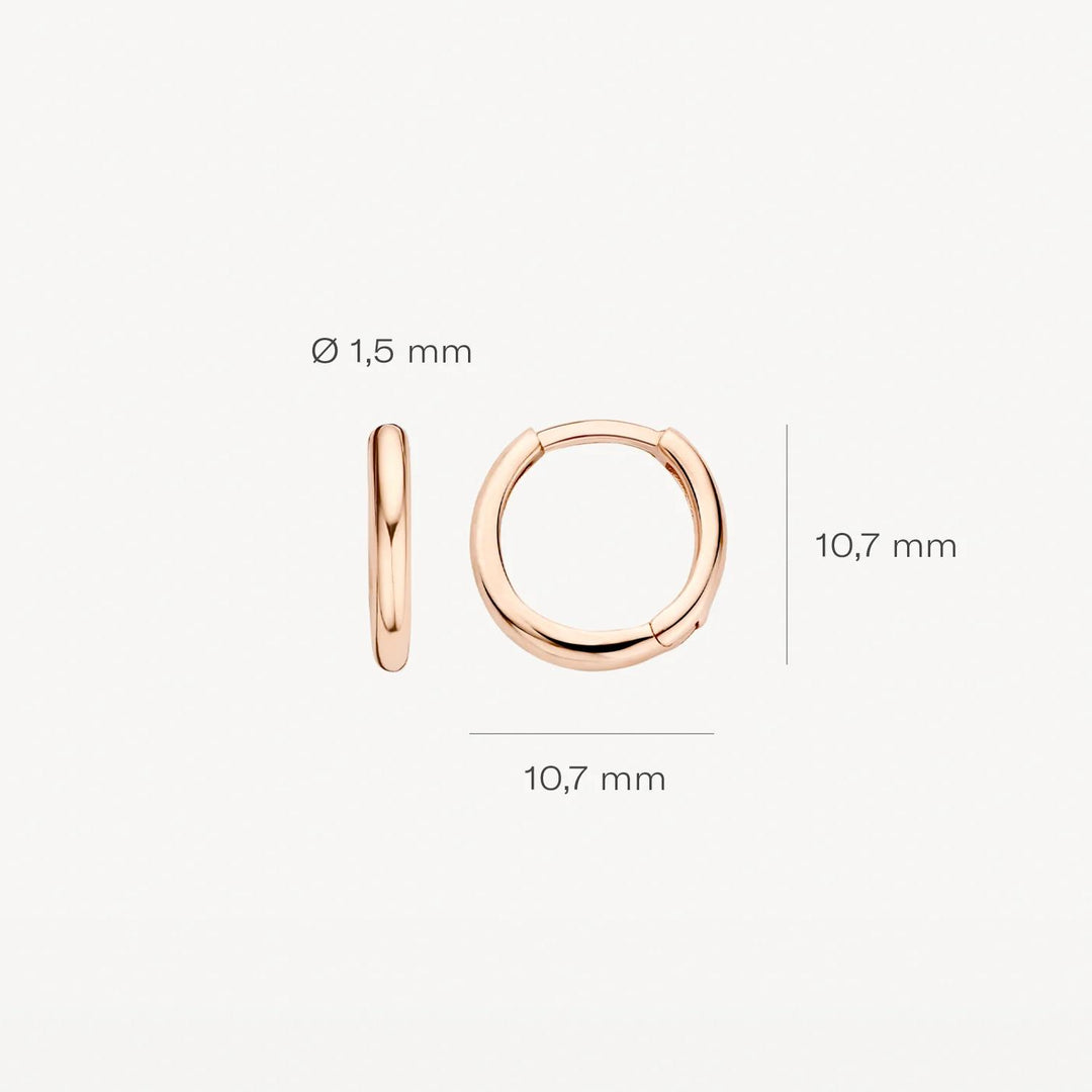 14k Roségoud Oorringen 7232RGO