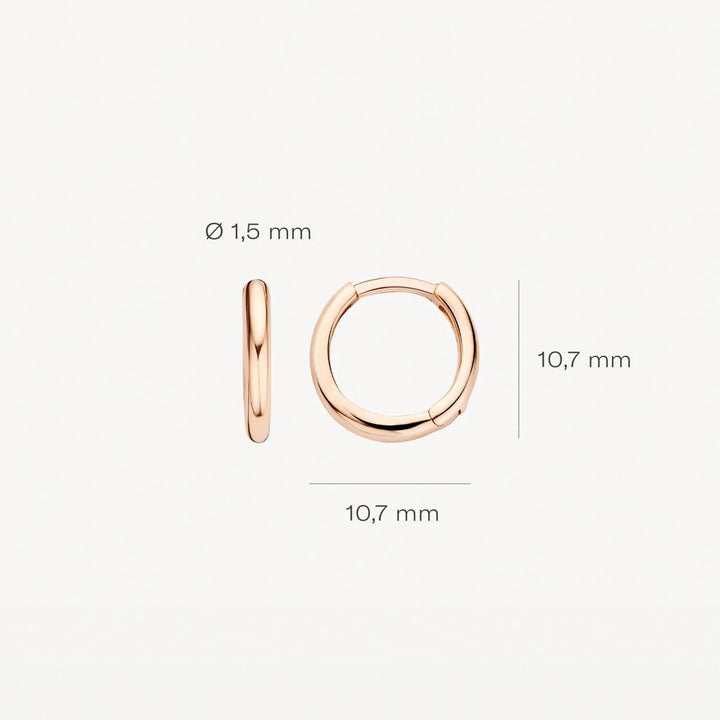 14k Roségoud Oorringen 7232RGO