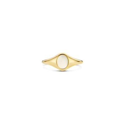 Zegelring 1219YMP - 14k Geelgoud met Mother of Pearl