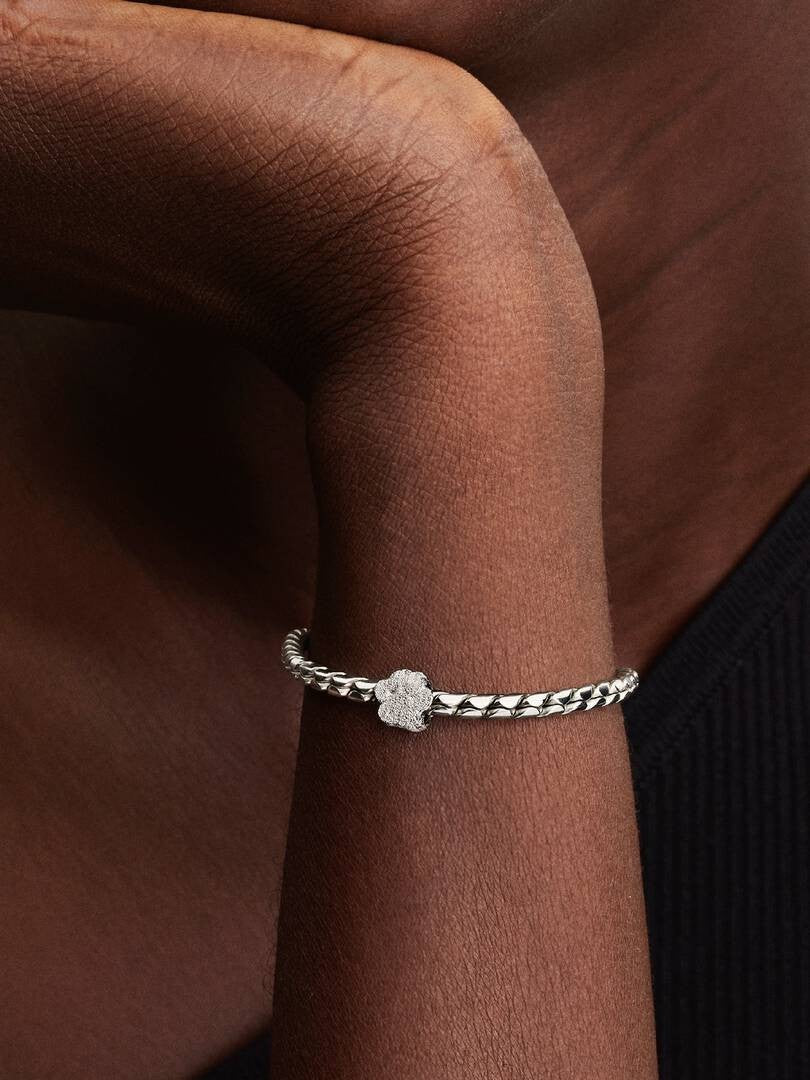 Pandora Pet Lover Charm Set hondenpootje 794043C00