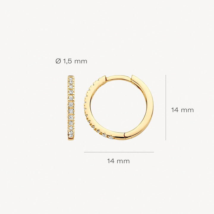 14 k Blush Jewels oorringen zirkonia 7309YZI