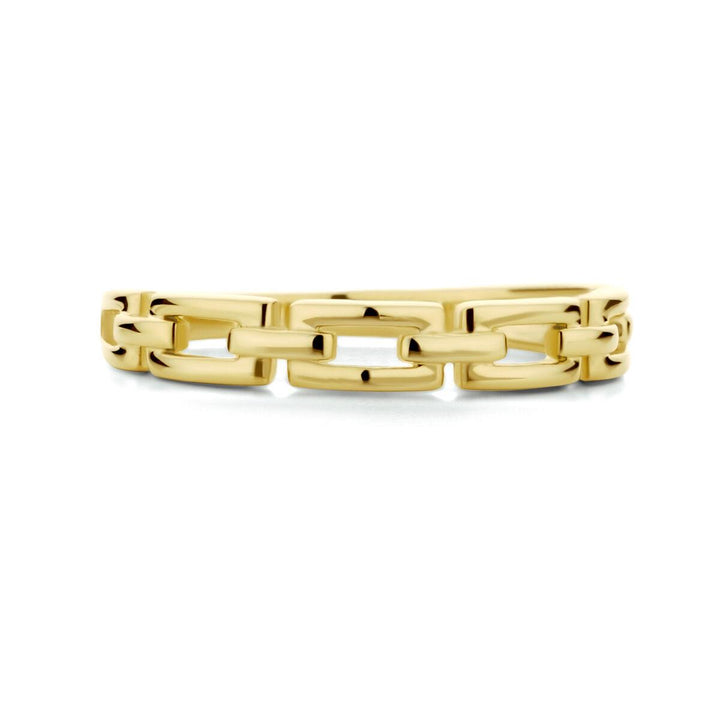 14k Geelgouden ring uitgevoerd met een schakelmotief
