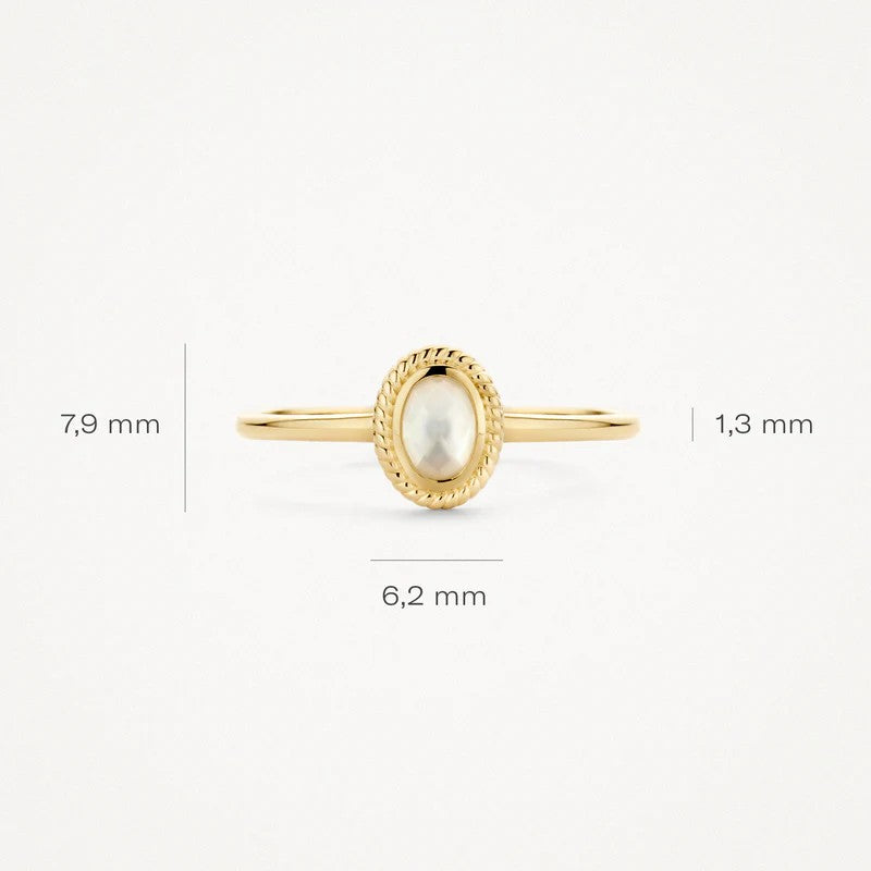 Blush Jewels ring 1239YMQ - 14k Geel goud 1239YMQ maat 52