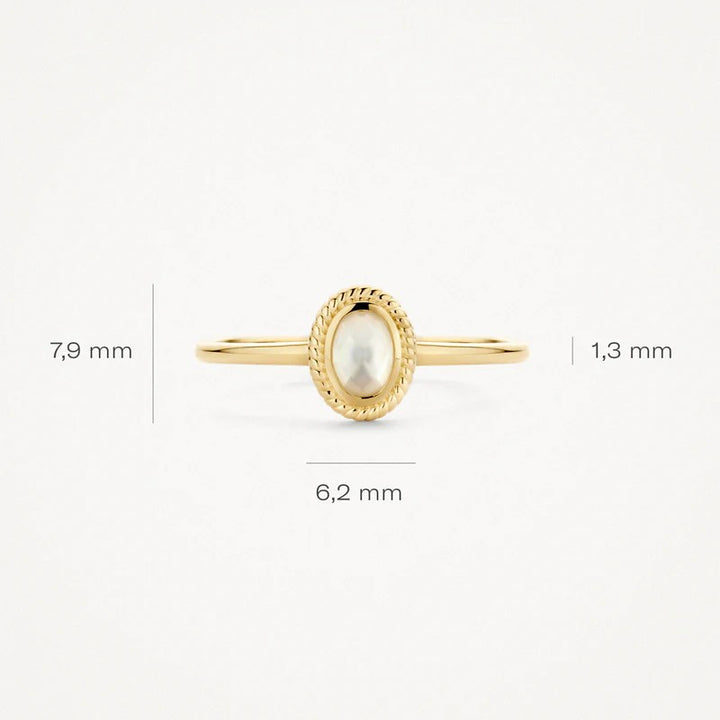 Blush Jewels ring 1239YMQ - 14k Geel goud 1239YMQ maat 52