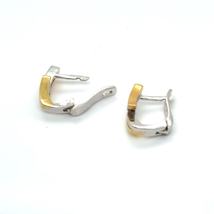 14 kt Bicolor Oorringen met Diamant – Occasion