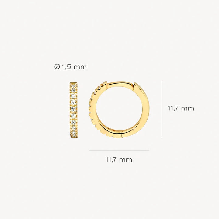 Blush Oorringen 7307YZI – 14 Karaat Geelgoud met Pavé Zirkonia 11,7 mm