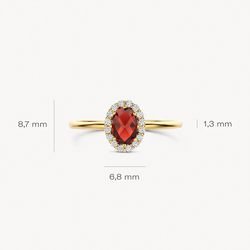 Blush Ring 14 kt Geelgoud met Mozambique Granaat en Zirkonia – 1271YGA