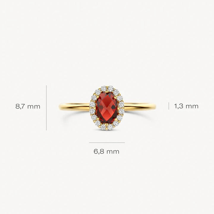 Blush Ring 14 kt Geelgoud met Mozambique Granaat en Zirkonia – 1271YGA