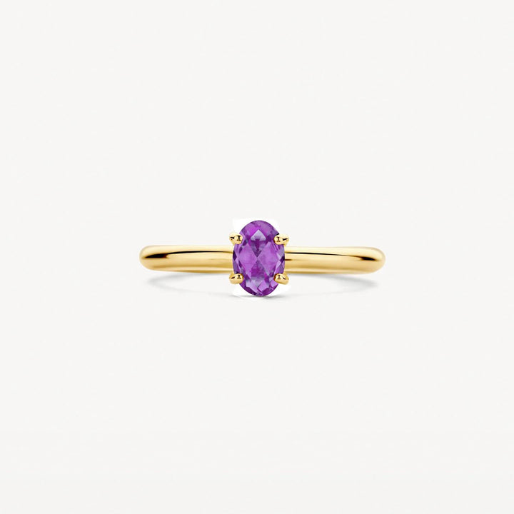 14k Geelgouden Ring met Amethyst 1242YAM