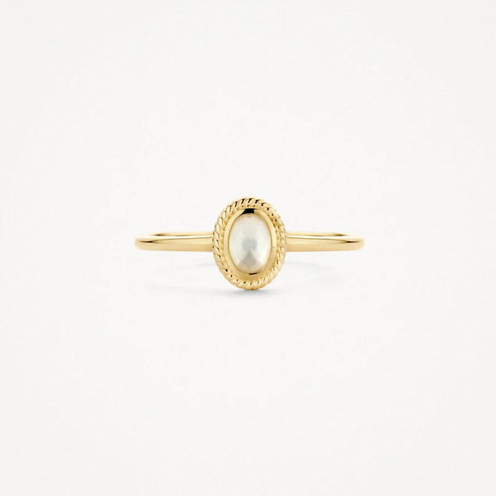 Blush Jewels ring 1239YMQ - 14k Geel goud 1239YMQ maat 52
