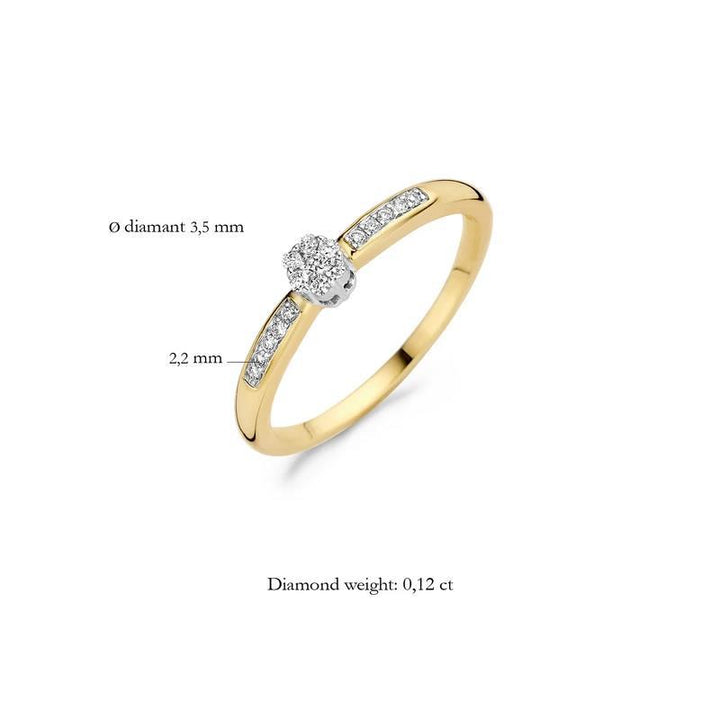 Blush Diamonds 1625BDI/50