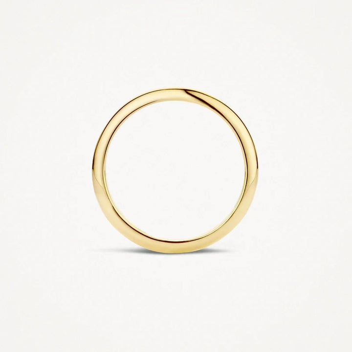 14 kt Geelgouden Ring Gladde Band ⌀ 2 mm - 1117YGO