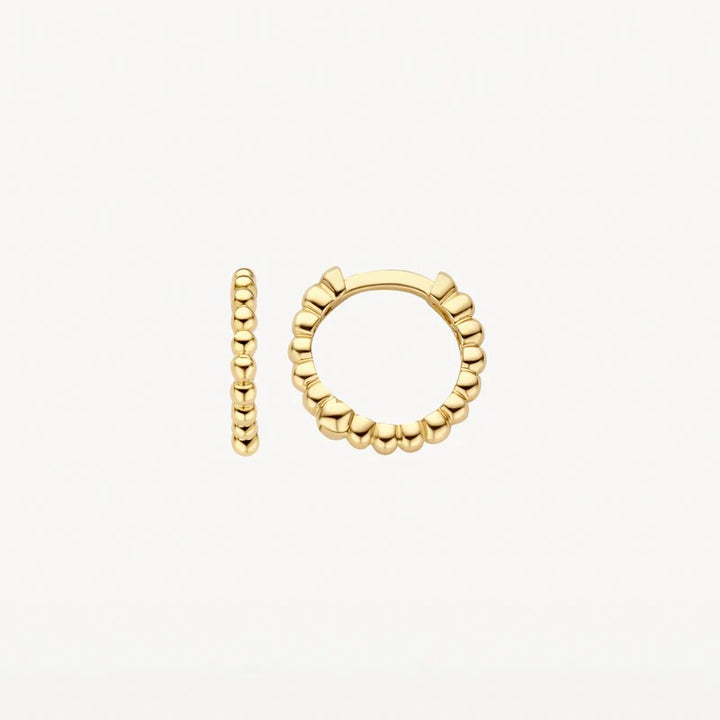 Blush Jewels Oorringen 7264YGO - 14k Geelgoud