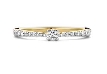 1658BDI 14k Geel en Wit Goud met Diamant