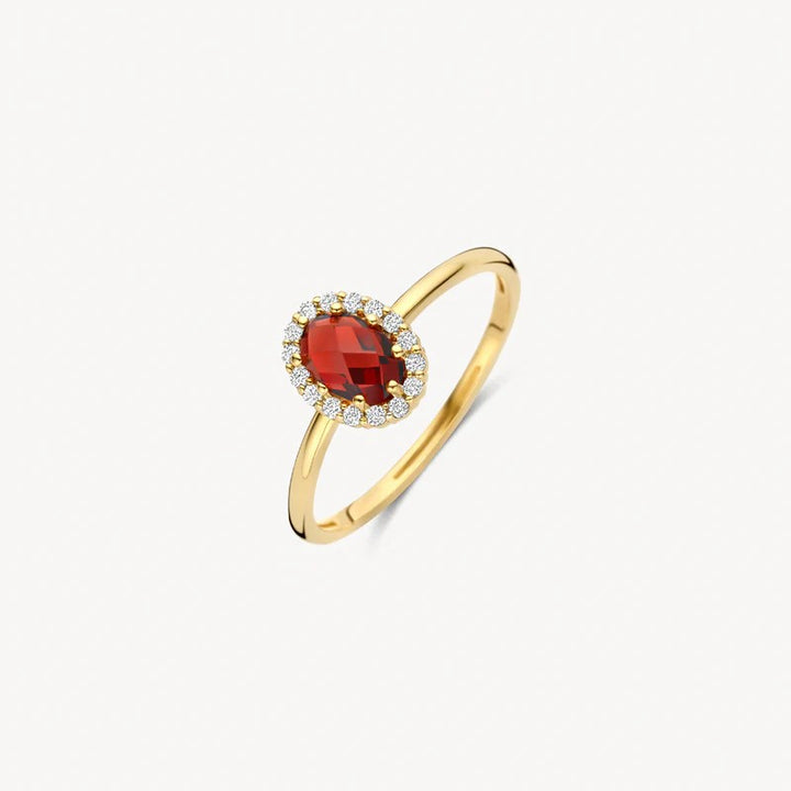 Blush Ring 14 kt Geelgoud met Mozambique Granaat en Zirkonia – 1271YGA