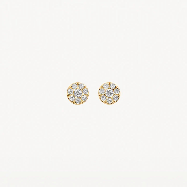 Blush 14k Geelgouden Oorknopjes met Zirkonia 7396YZI