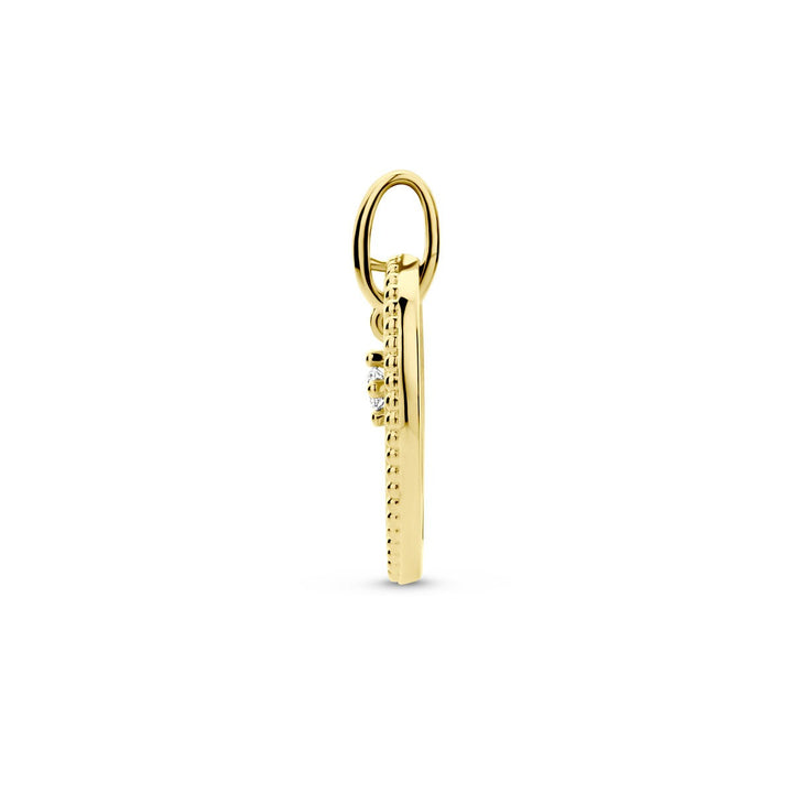 14 Karaat Geelgouden Hanger met Diamant – 0.06 ct
