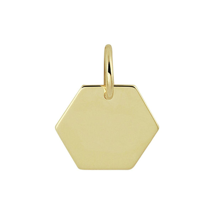 14 kt graveerhanger 8 kant