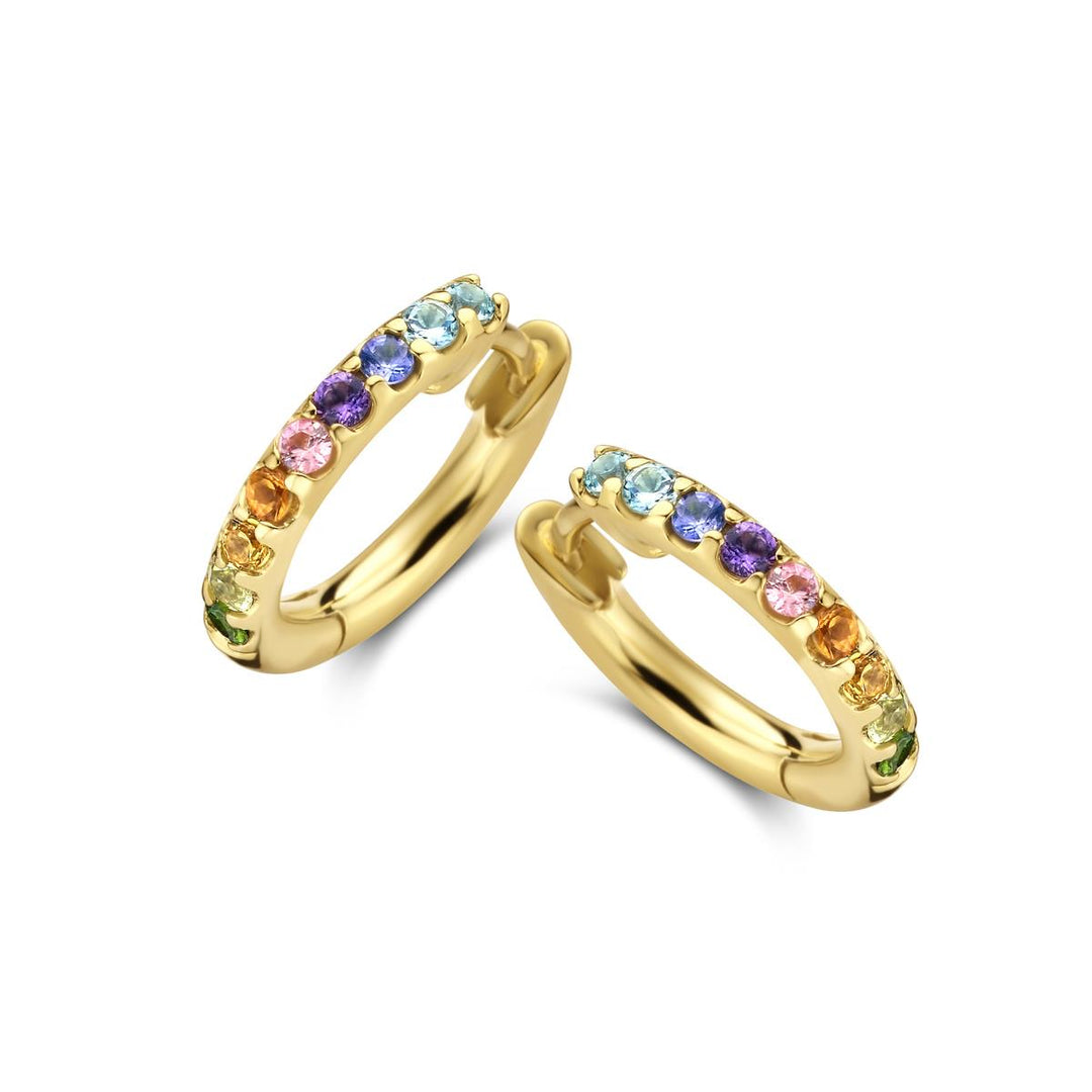 Ischia Basics creolen in 18 Kt geel goud 93F3168S
