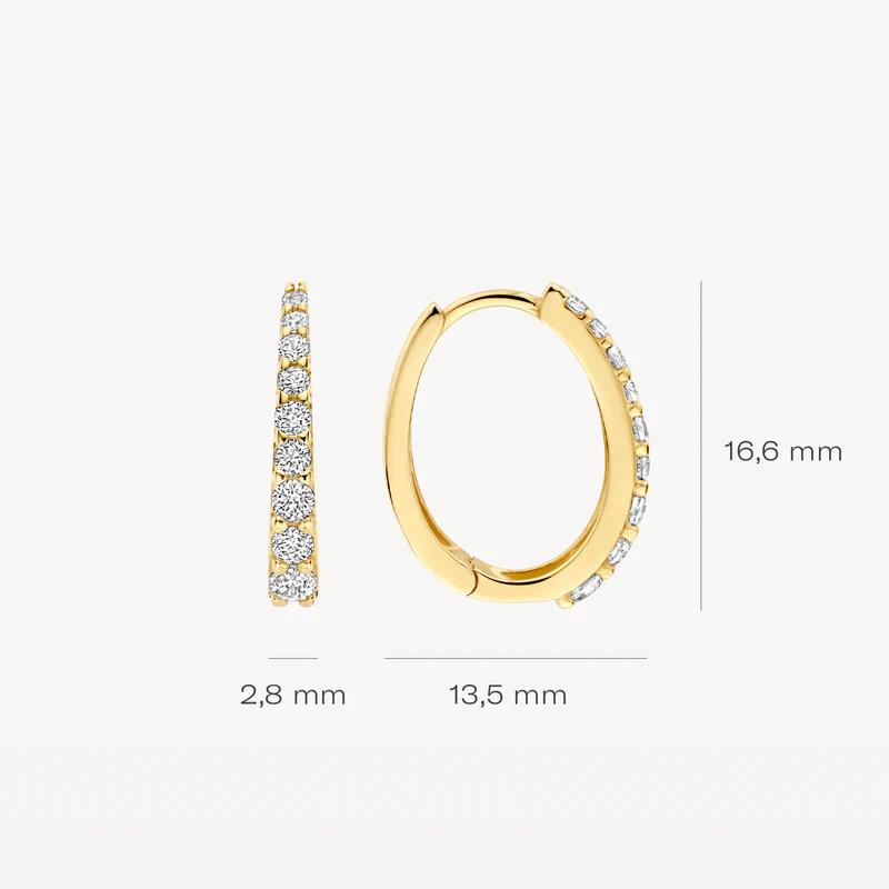 blush jewels 14k Oorringen 7341YZI met Zirkonia