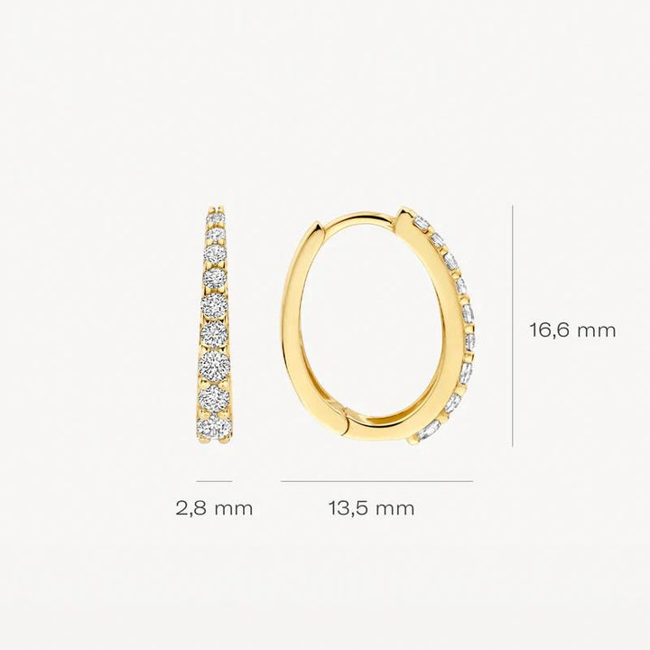blush jewels 14k Oorringen 7341YZI met Zirkonia