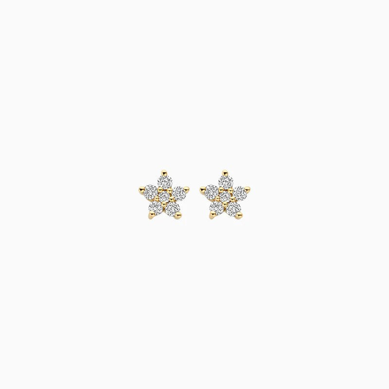 14 kt Geelgouden Oorknoppen Ster met Lab Grown Diamanten - LG7018Y