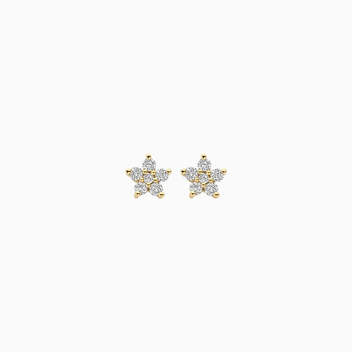 14 kt Geelgouden Oorknoppen Ster met Lab Grown Diamanten - LG7018Y