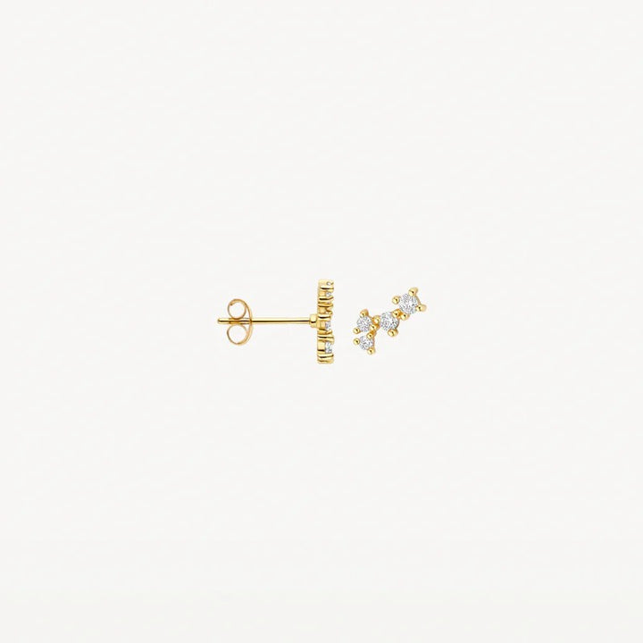 Blush Oorstekers 14 kt Geelgoud met Zirkonia – 7373YZI