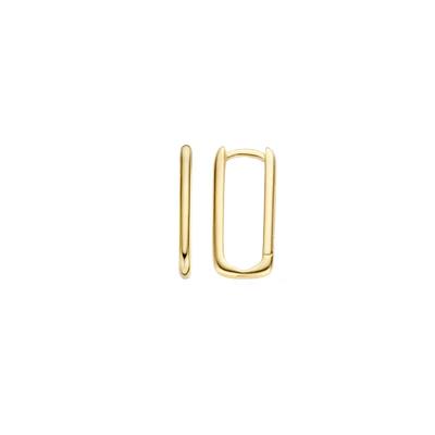 Blush Jewels oorringen 7295YGO - 14k Geelgoud