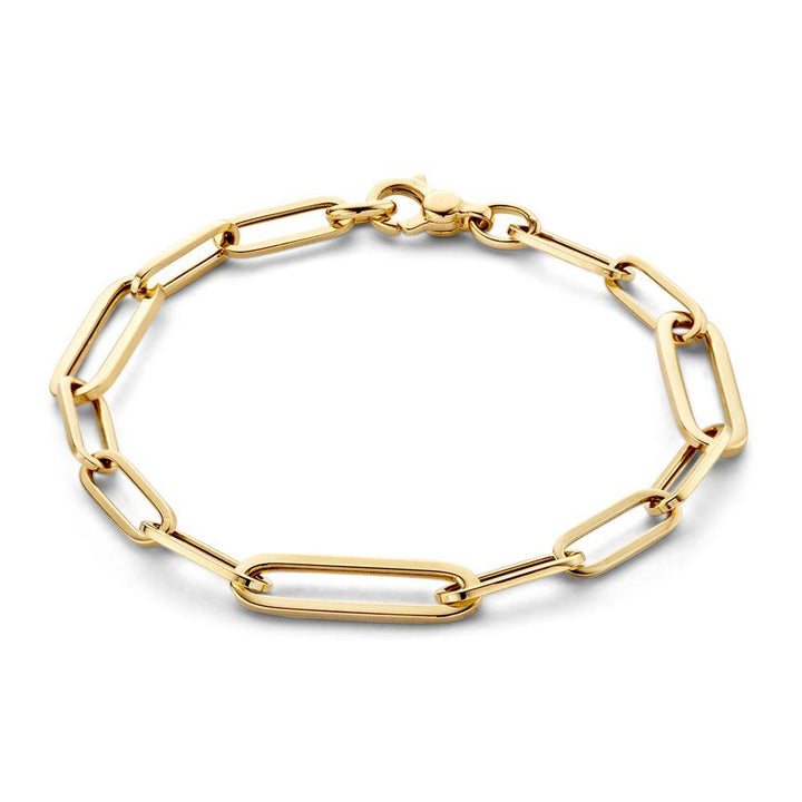 Armband Geelgoud paperclip AP107242