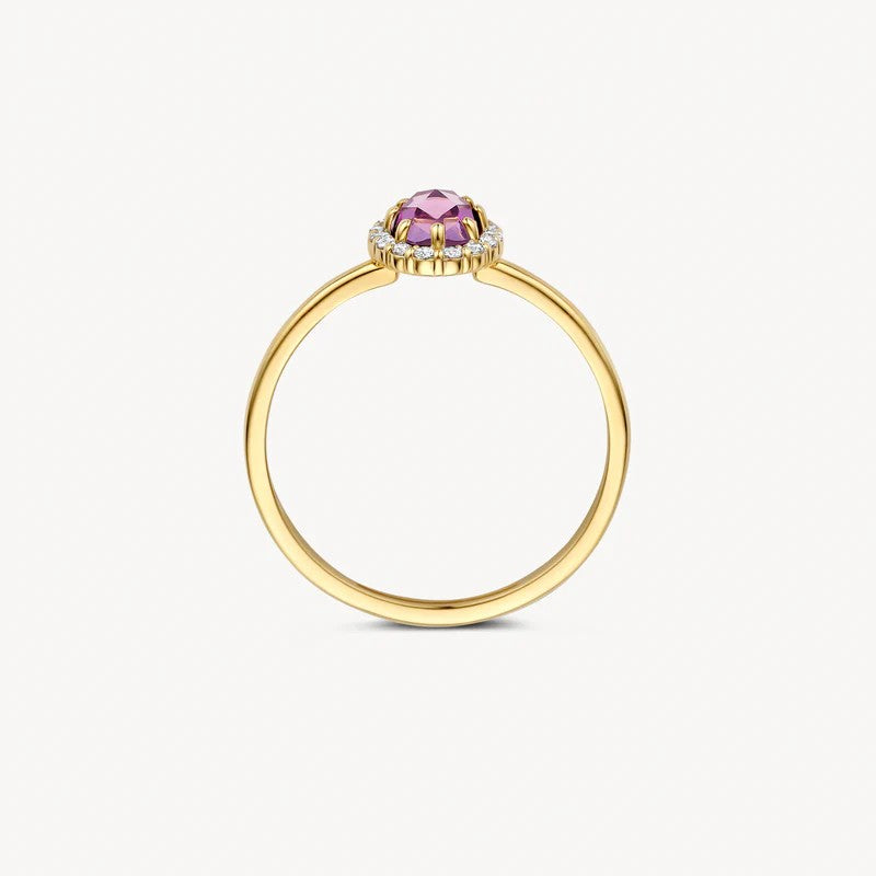 Blush Ring 14 kt Geelgoud met Amethist en Zirkonia – 1271YAM