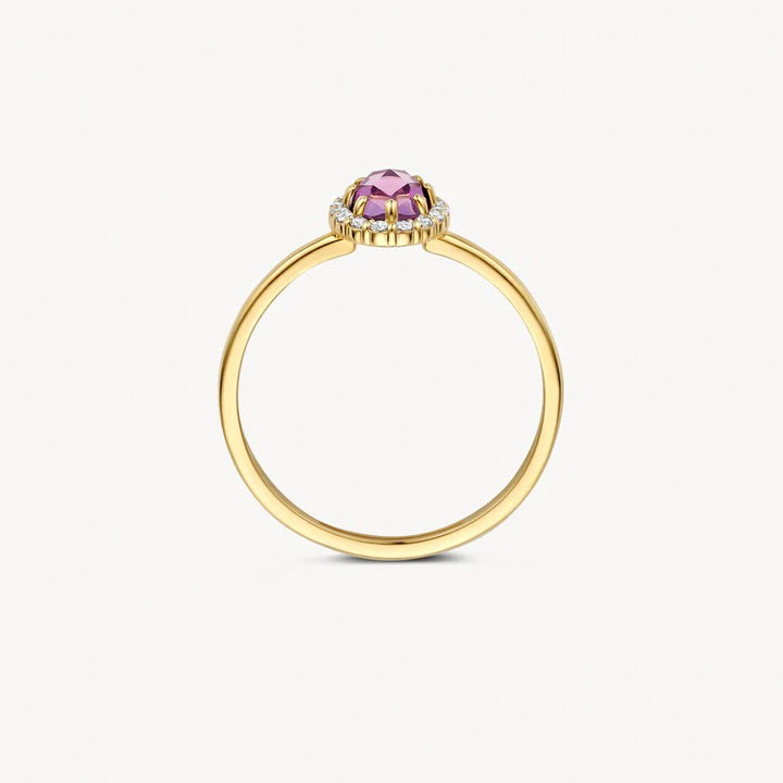 Blush Ring 14 kt Geelgoud met Amethist en Zirkonia – 1271YAM