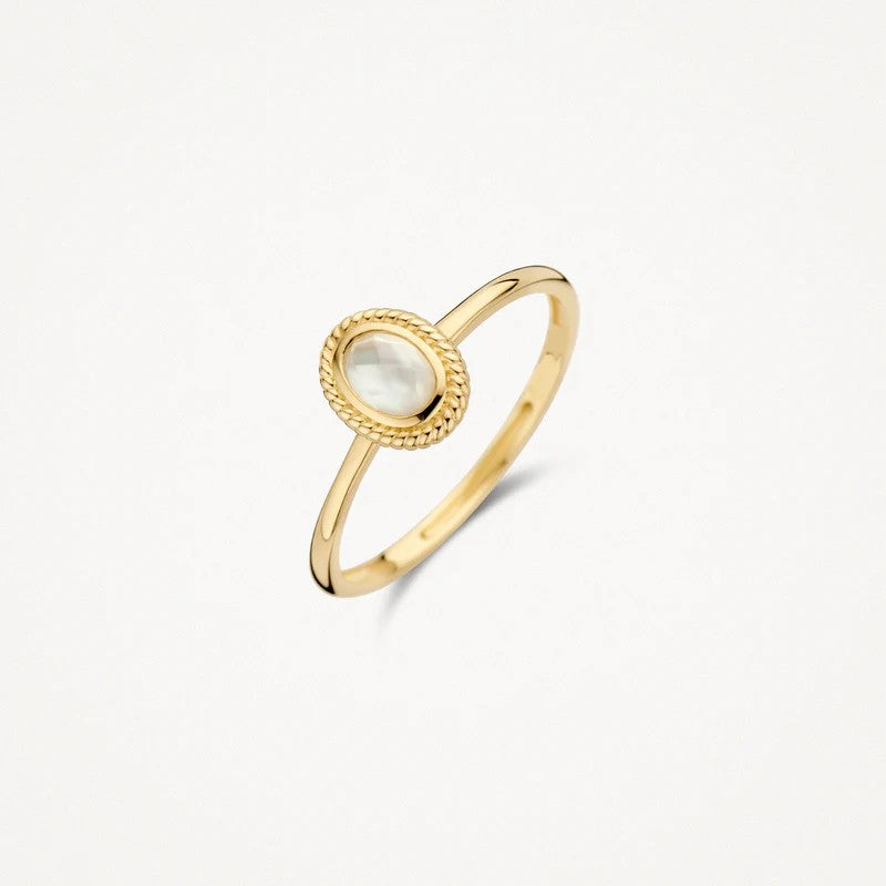 Blush Jewels ring 1239YMQ - 14k Geel goud 1239YMQ maat 52