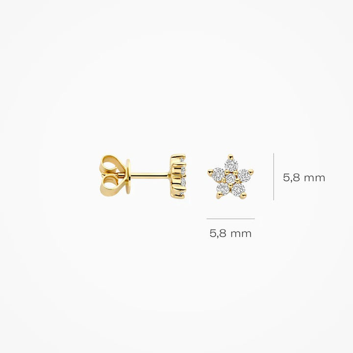 14 kt Geelgouden Oorknoppen Ster met Lab Grown Diamanten - LG7018Y