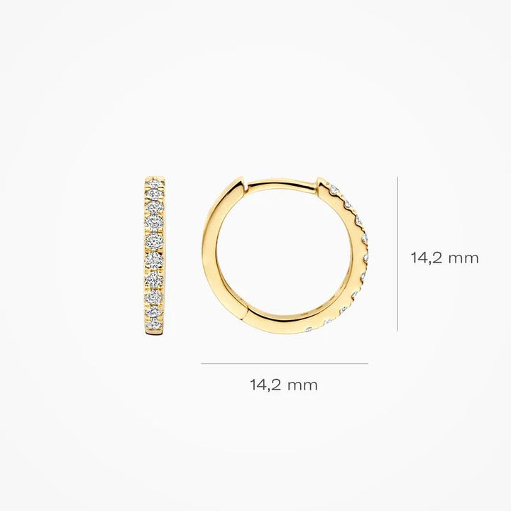 Blush Lab Diamonds Oorringen LG7012Y 2x 0.165 ct