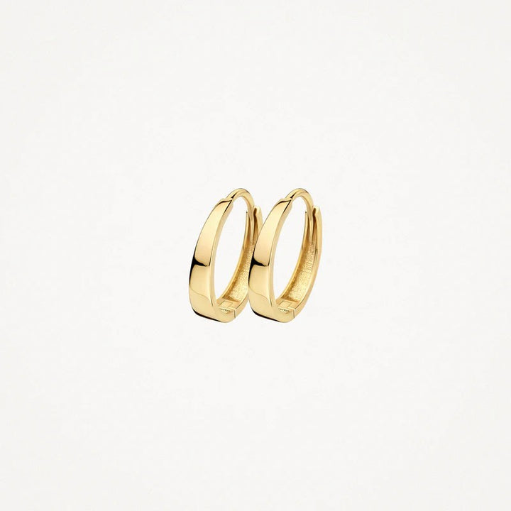 14 kt Blush Oorringen 7379YGO geelgoud