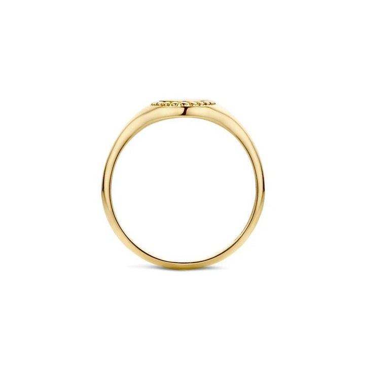 Ring 1206YGO - 14k Geelgoud