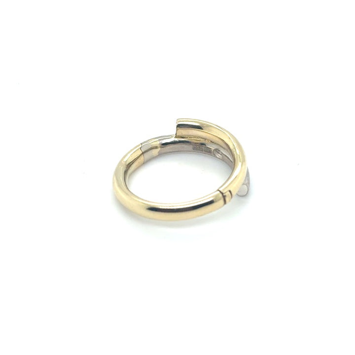 Fjory ring Scharnierring 3 mm dubbele baan