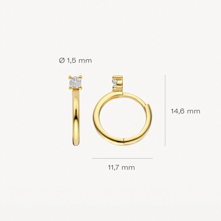 Blush Oorringen 14 kt Geelgoud met Zirkonia – 7372YZI