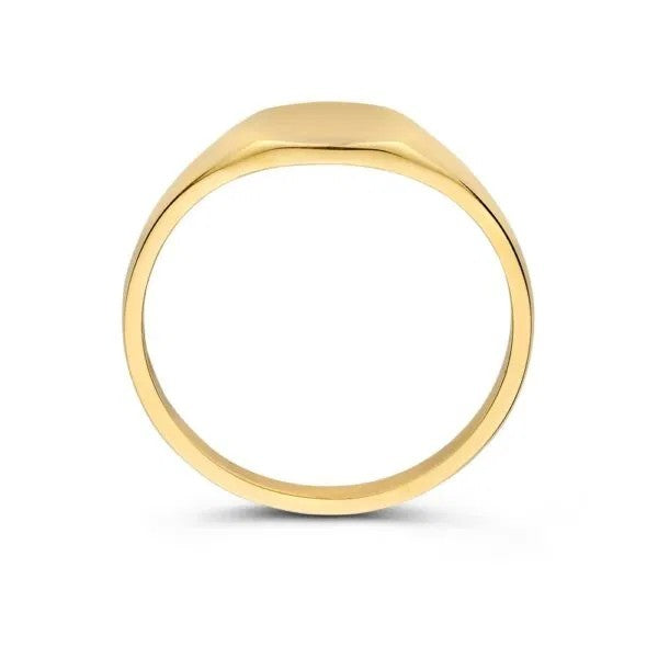 14 Karaat Geelgouden Dames Zegelring – RE108233 – Maat 52